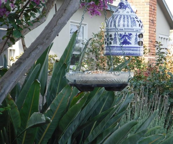 Hanging Bird Feeder