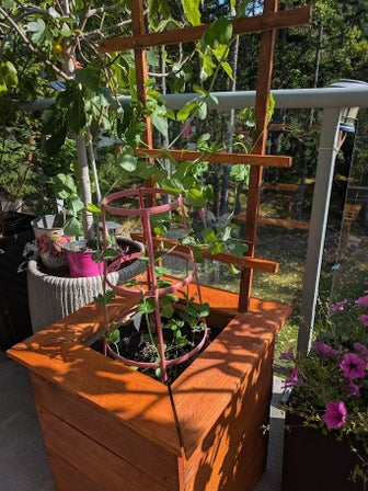 How to Make a Garden Box With a Trellis Out of Pallet Wood