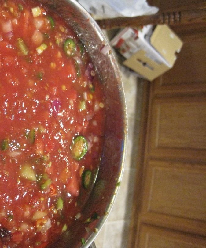 Zesty Hot Salsa