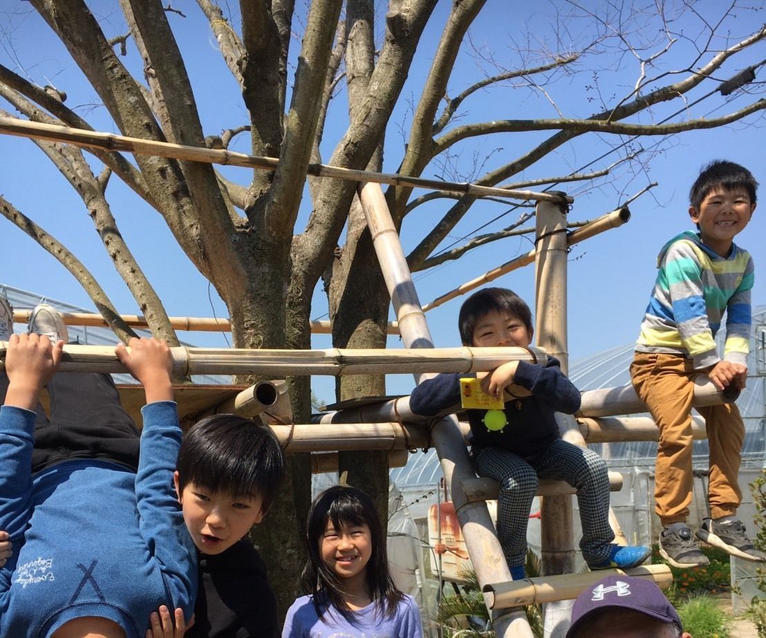 ビール缶と段ボールで植木鉢