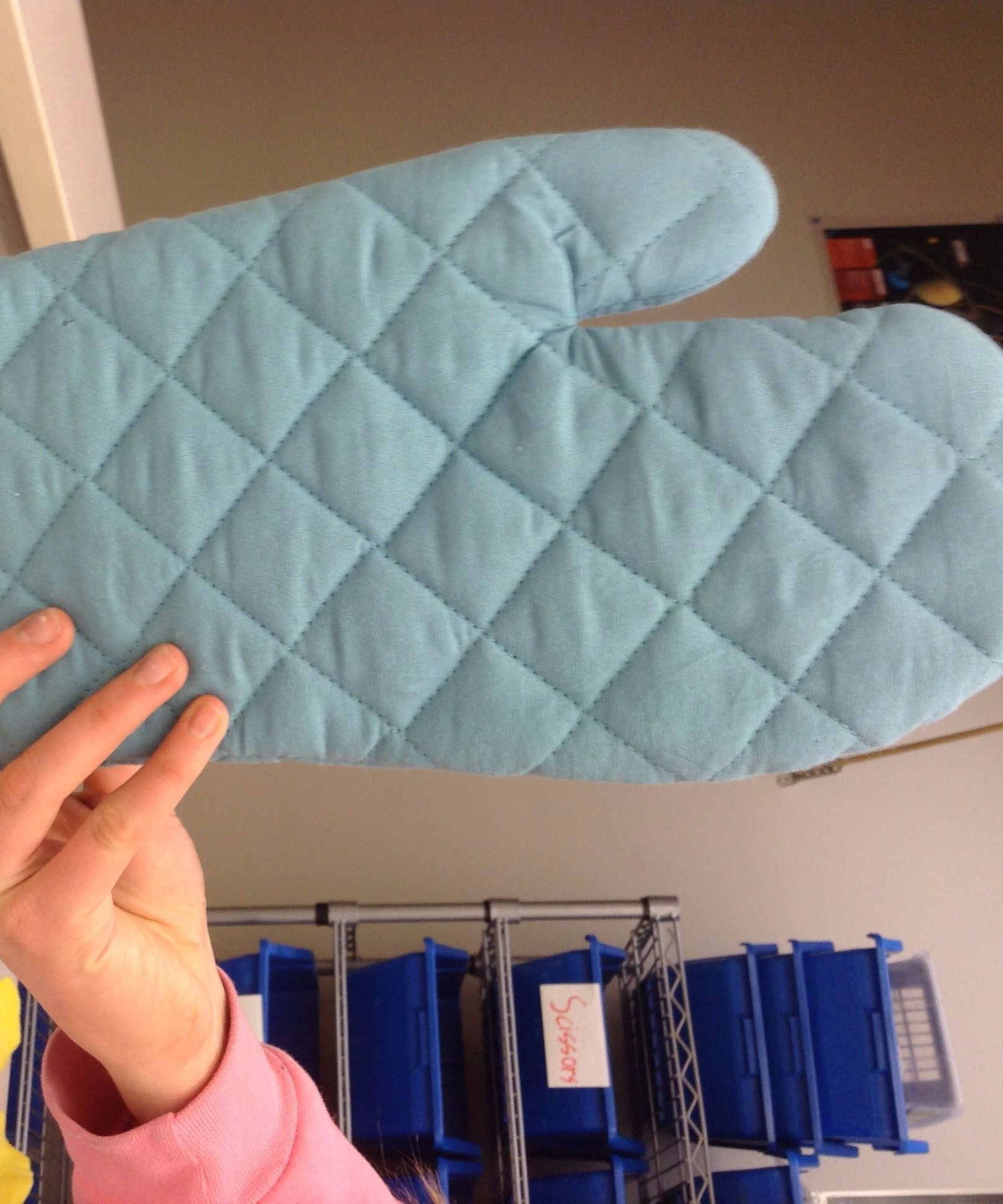 The Oven Mitt