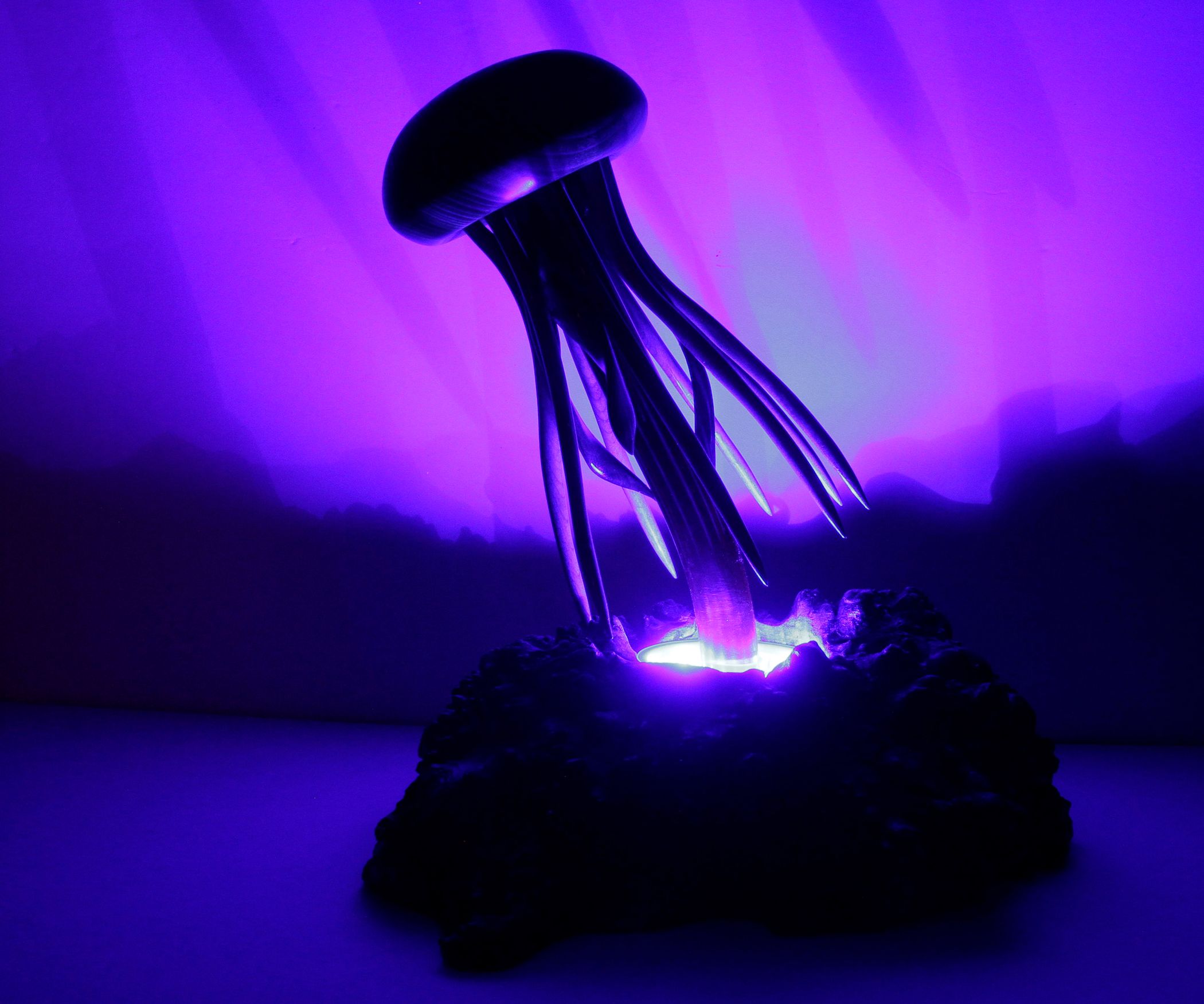 Jellyfish LED Accent Lamp 9 Steps (with Pictures) Instructables