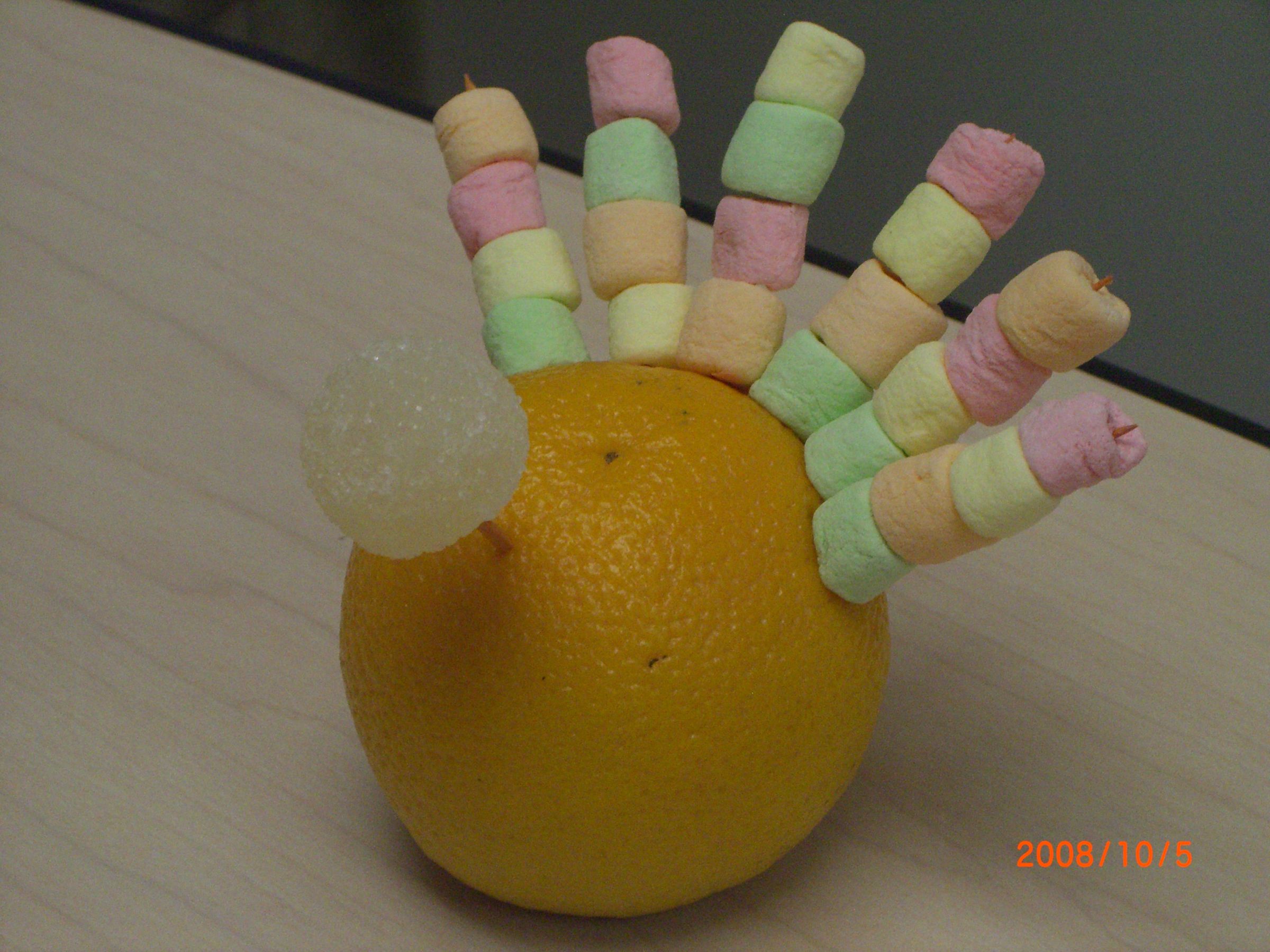 Candy Orange Turkey