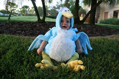 Baby Bird