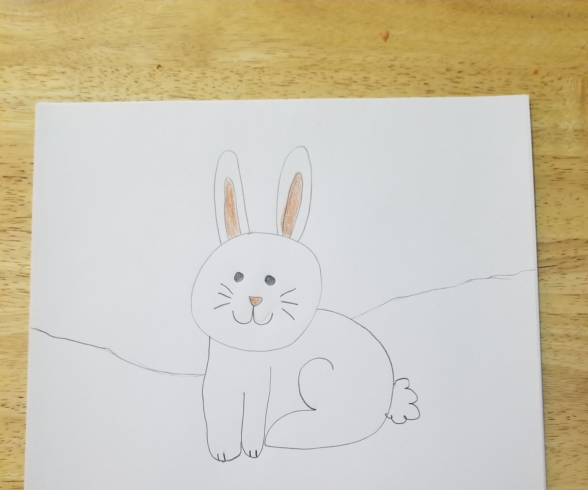 How to Draw a Bunny