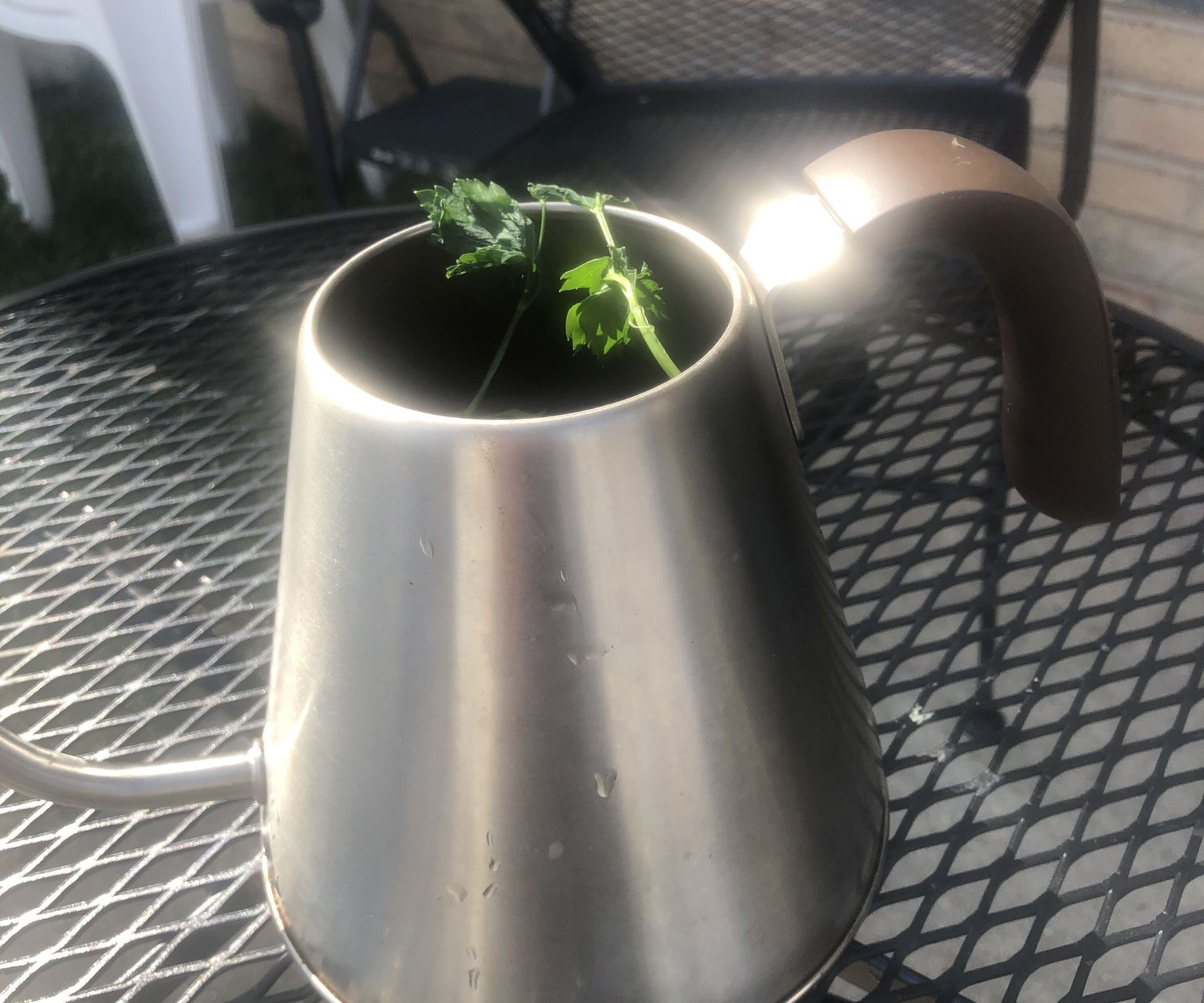 Upcycle Teapot Garden 5 Steps Instructables
