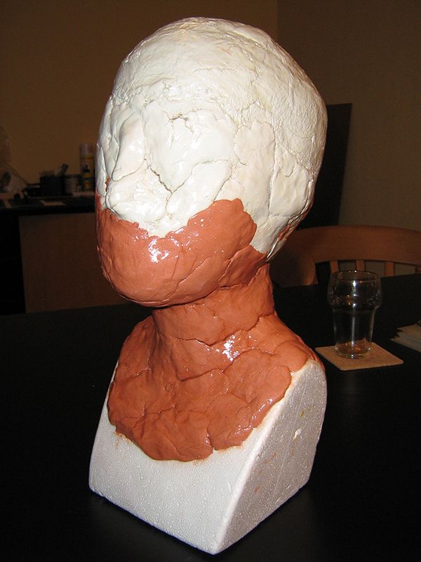 Making a head mannequin/dress form