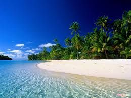 How to Draw a Tropical Beach on Deviant Art Muro