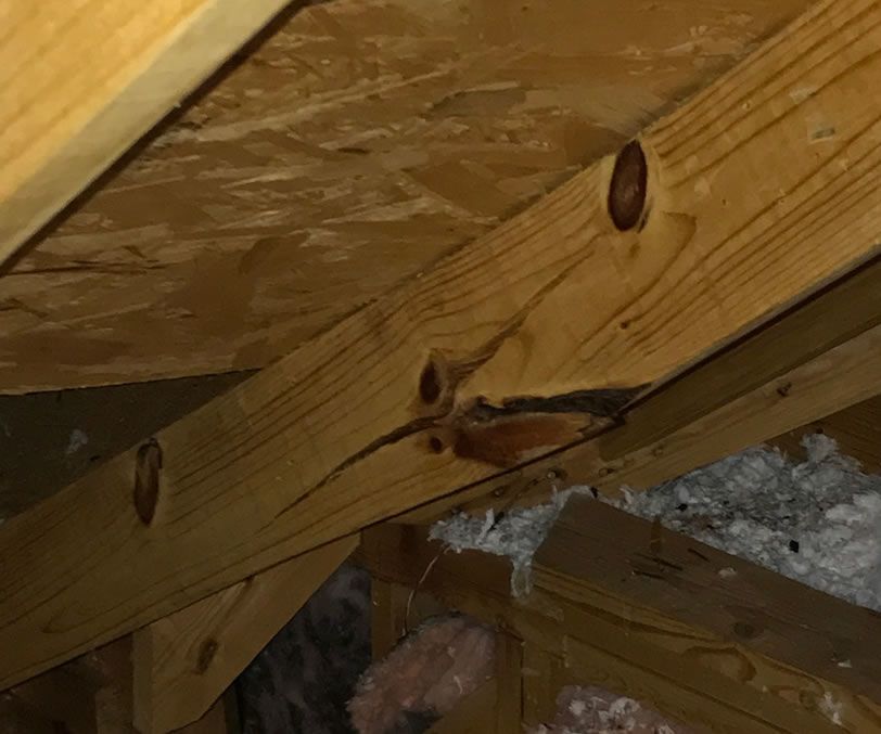 Fix It: Attic Rafter Scab