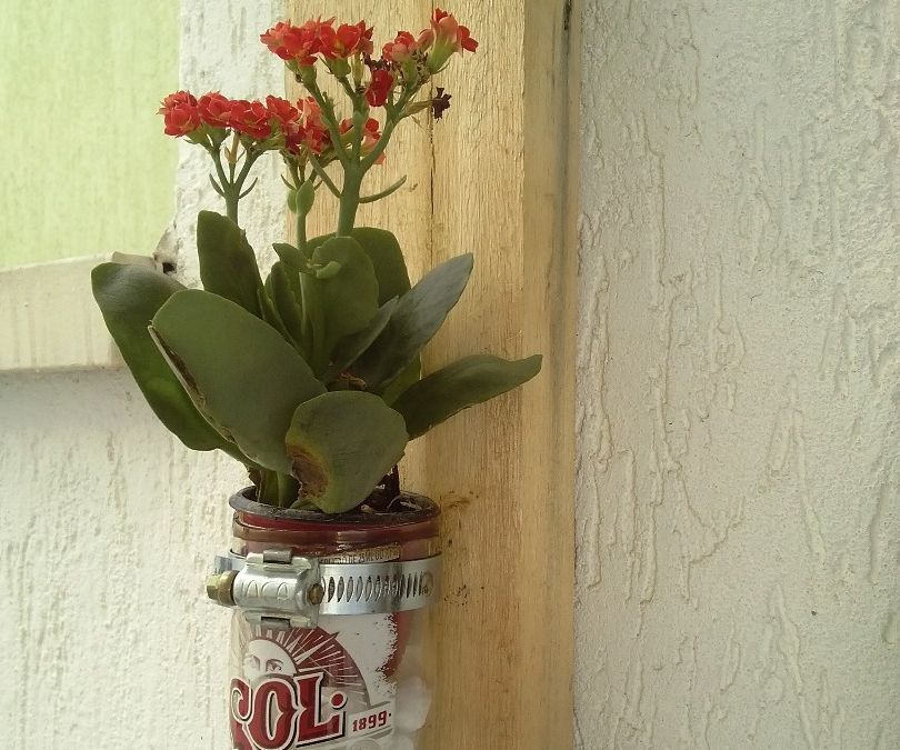 Simple Pallet Piece Wall Flower Beer Vase