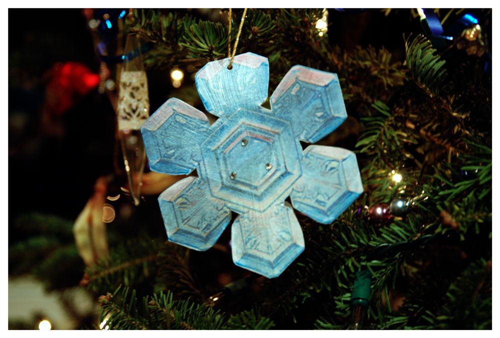 Holiday Photo Gift Tag/Ornament Card