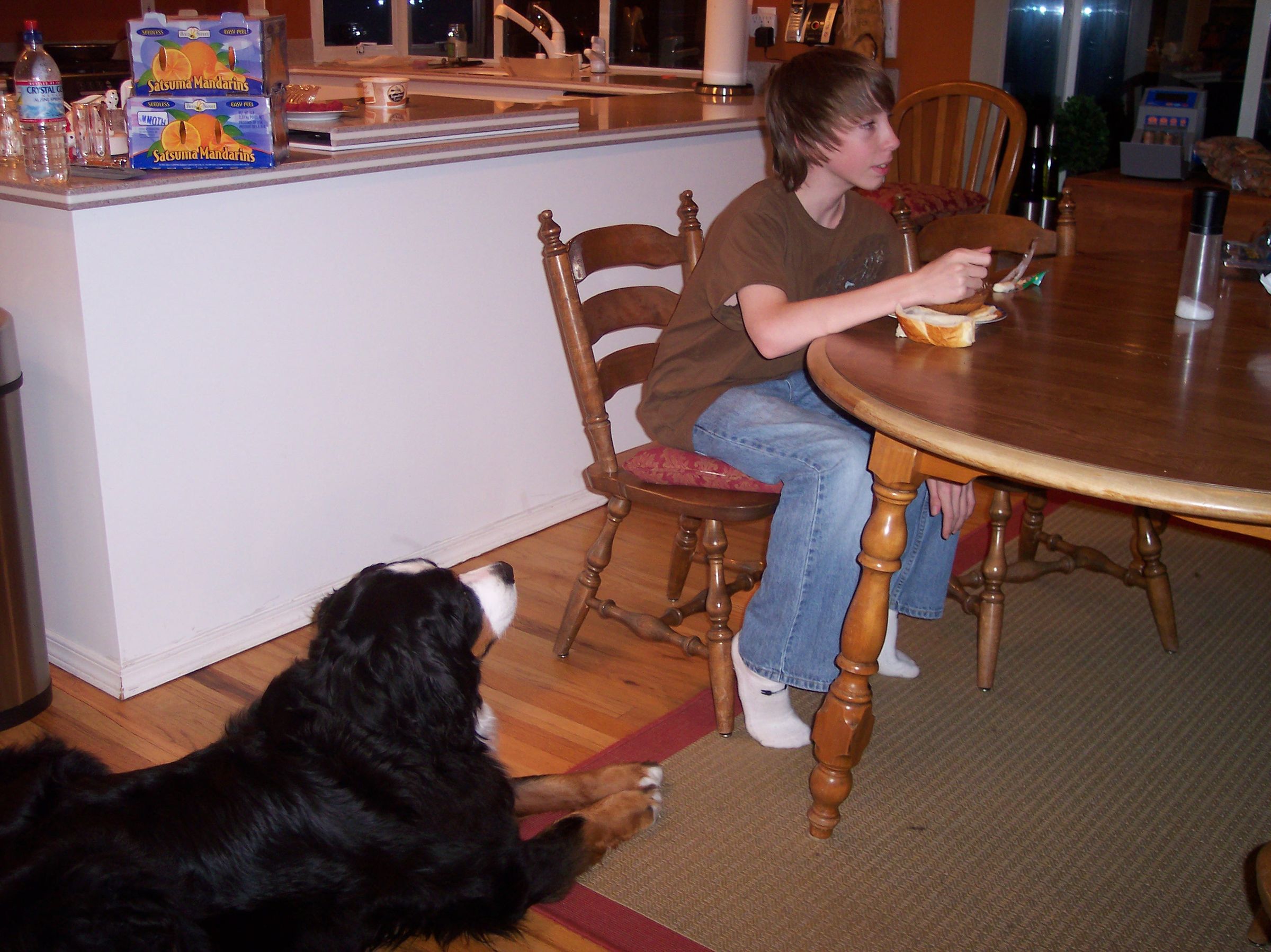 The Dog's Guide to Mooching