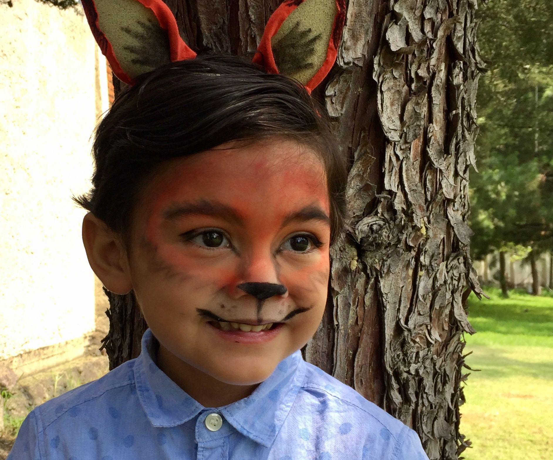 Fox Makeup for Kids