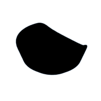 download {{ file.name }}