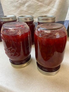 Canning the Jam