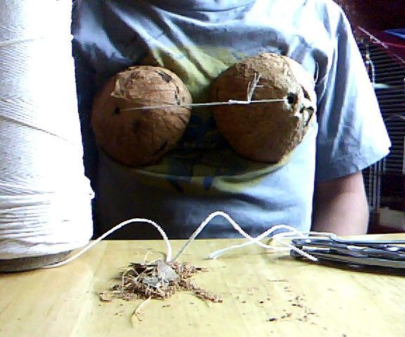 How to Make a Coconut Bra