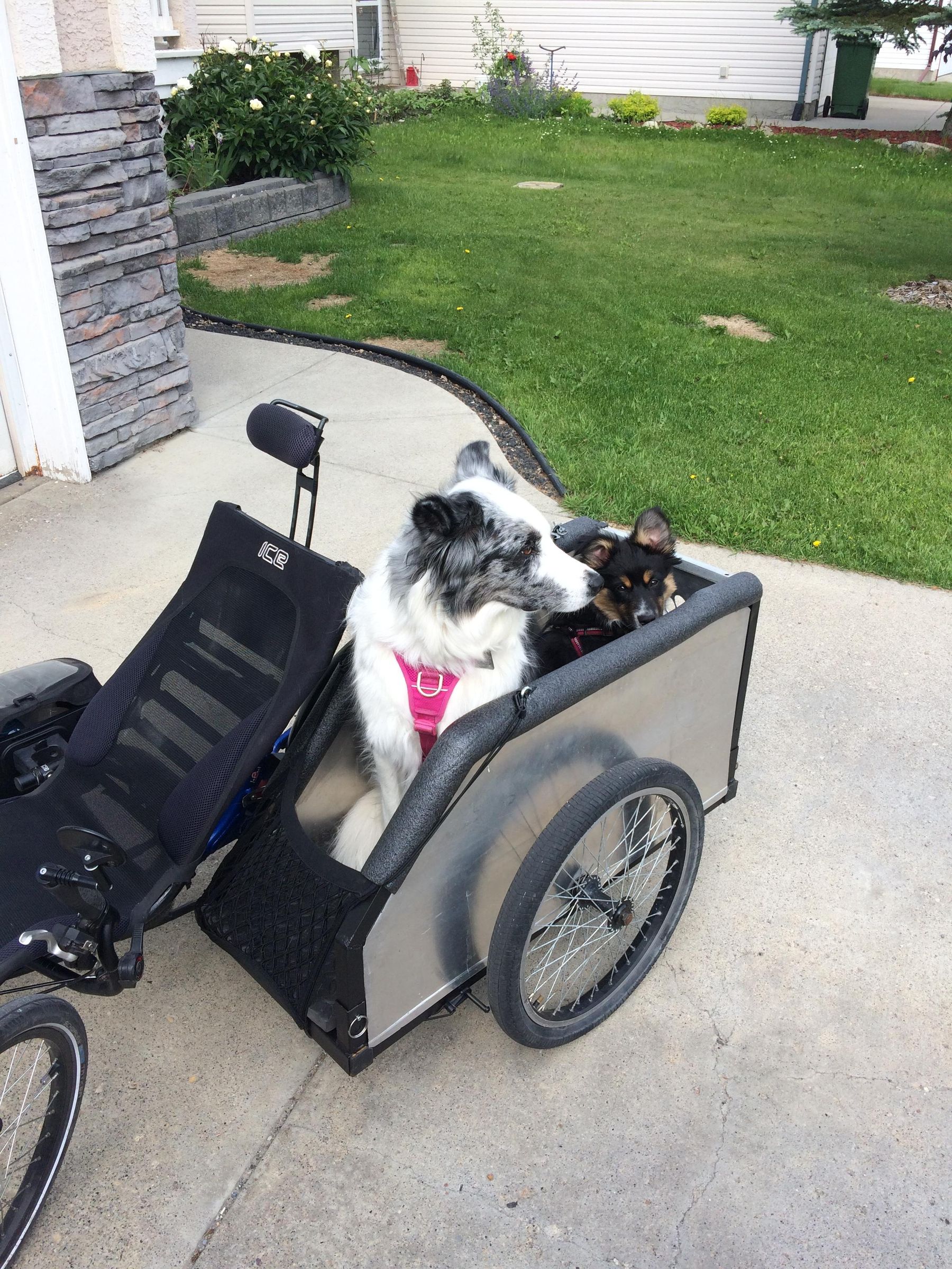 Recumbent Trike Sidecar
