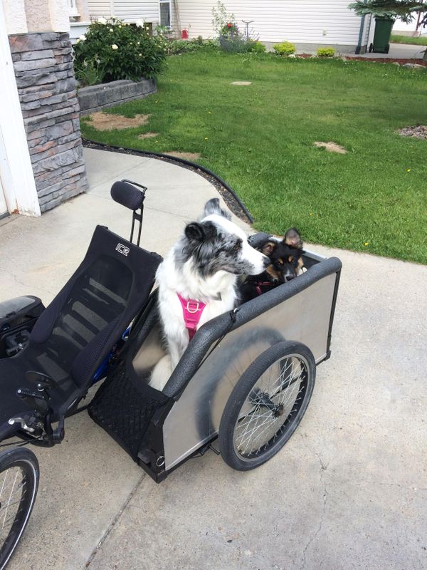 Recumbent Trike Sidecar