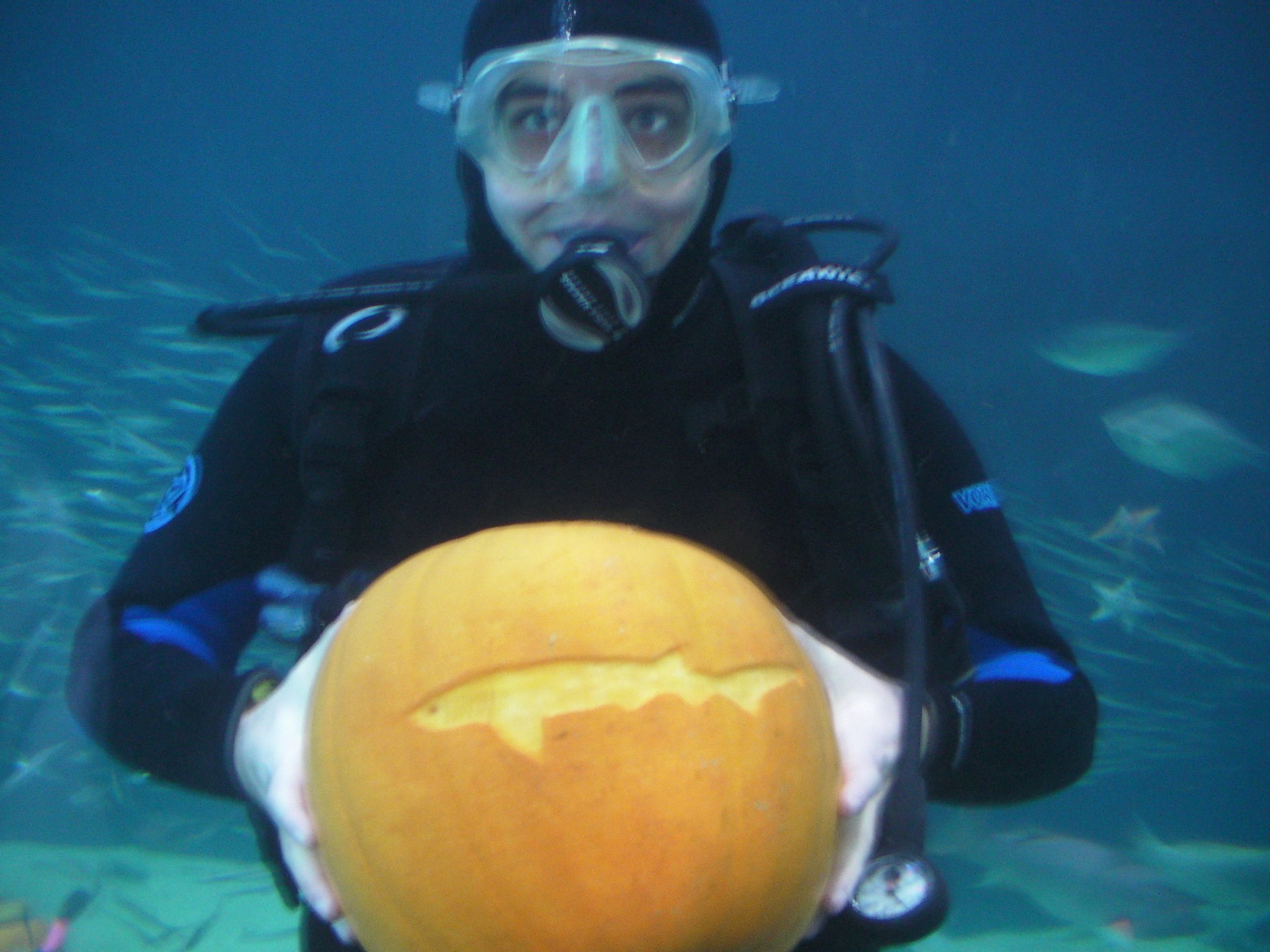 Underwater Pumpkin Carving How To 8 Steps (with Pictures) Instructables