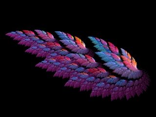 Fractals: How to Make a Computer-Generated Angel's Wing