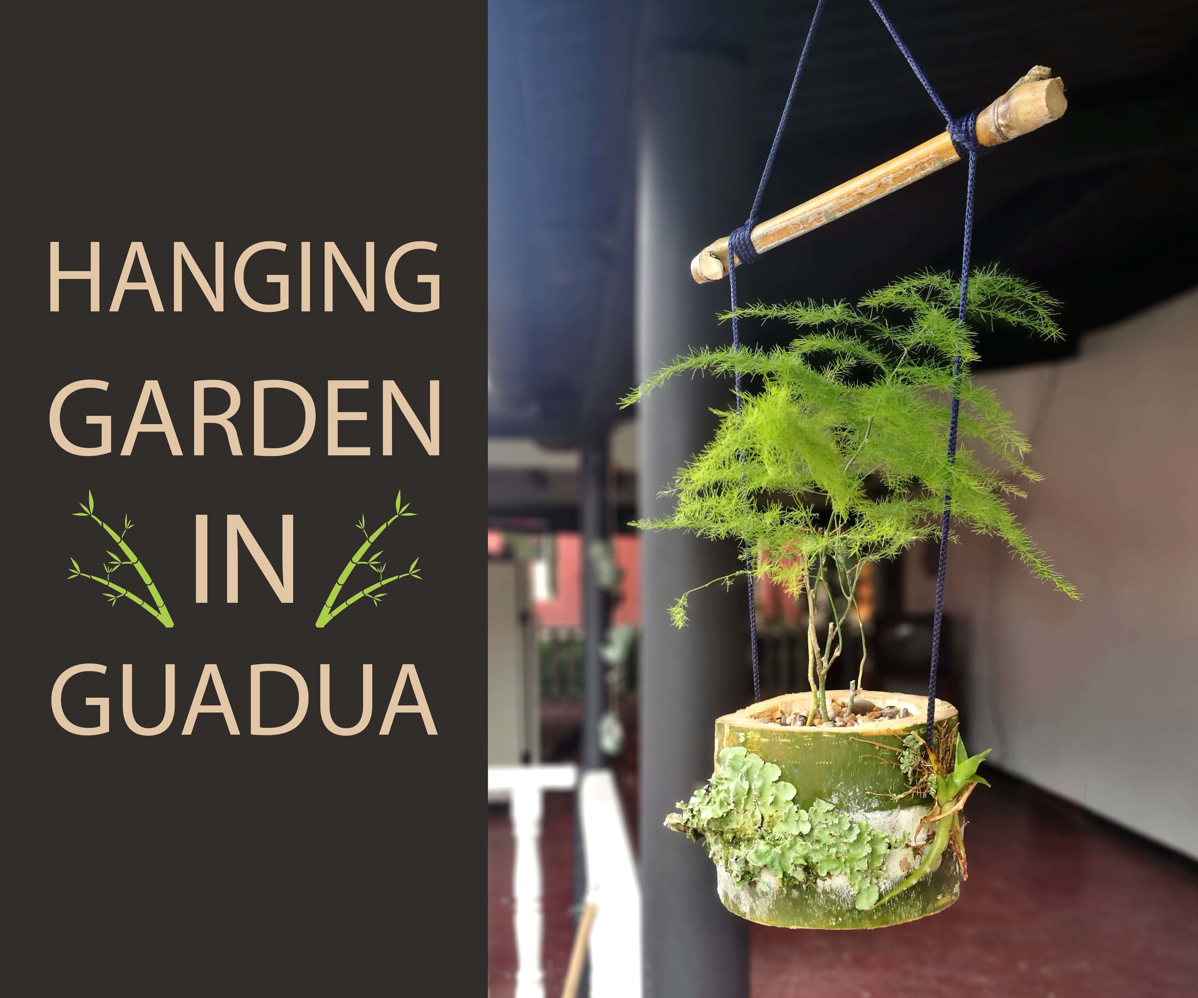 Hanging Garden in Guadua