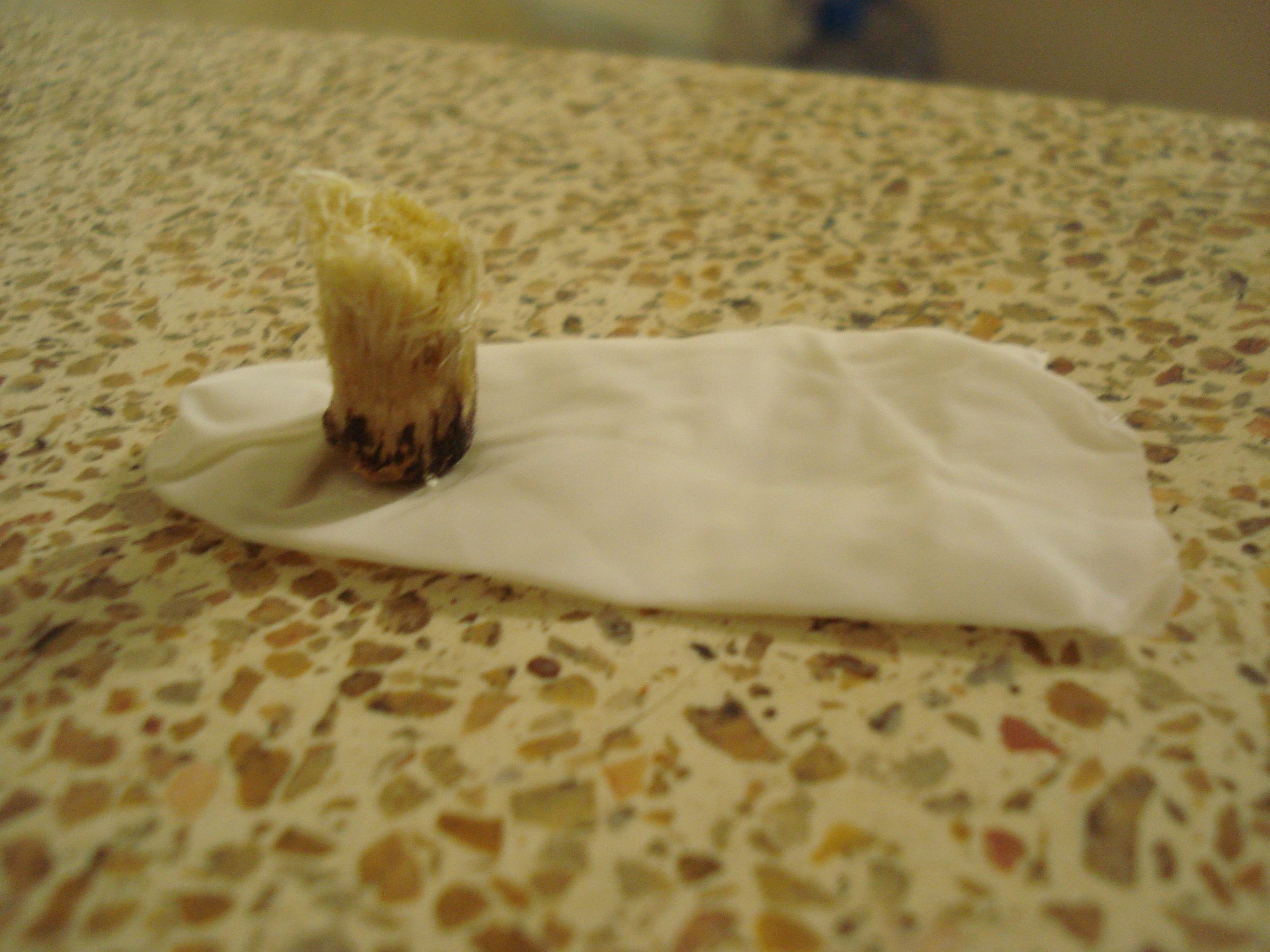 Pocket Miswak Toothbrush