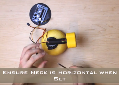 Attach the Head and Neck