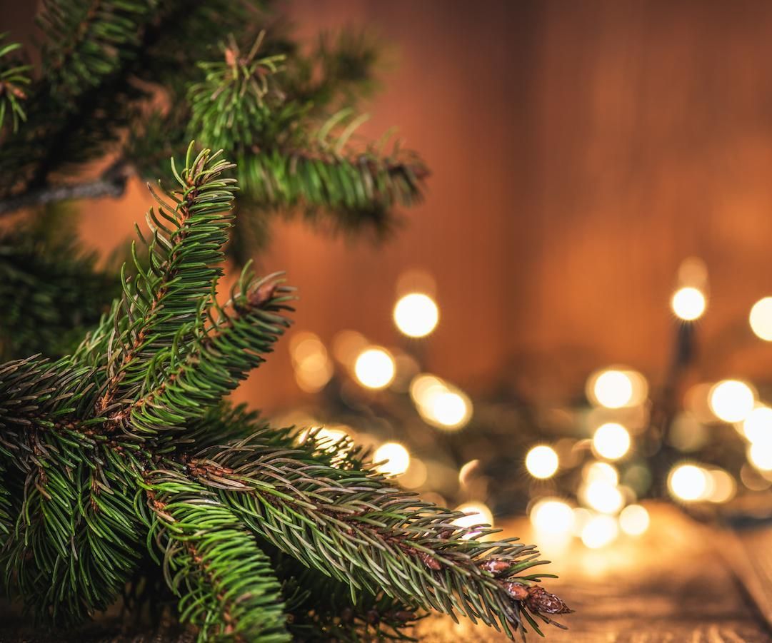 Christmas Surprise Card(by Using Arduino)