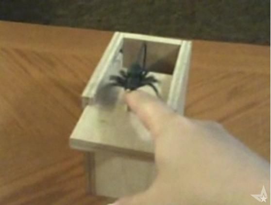 Make a Scarebox!