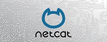 Netcat in Python