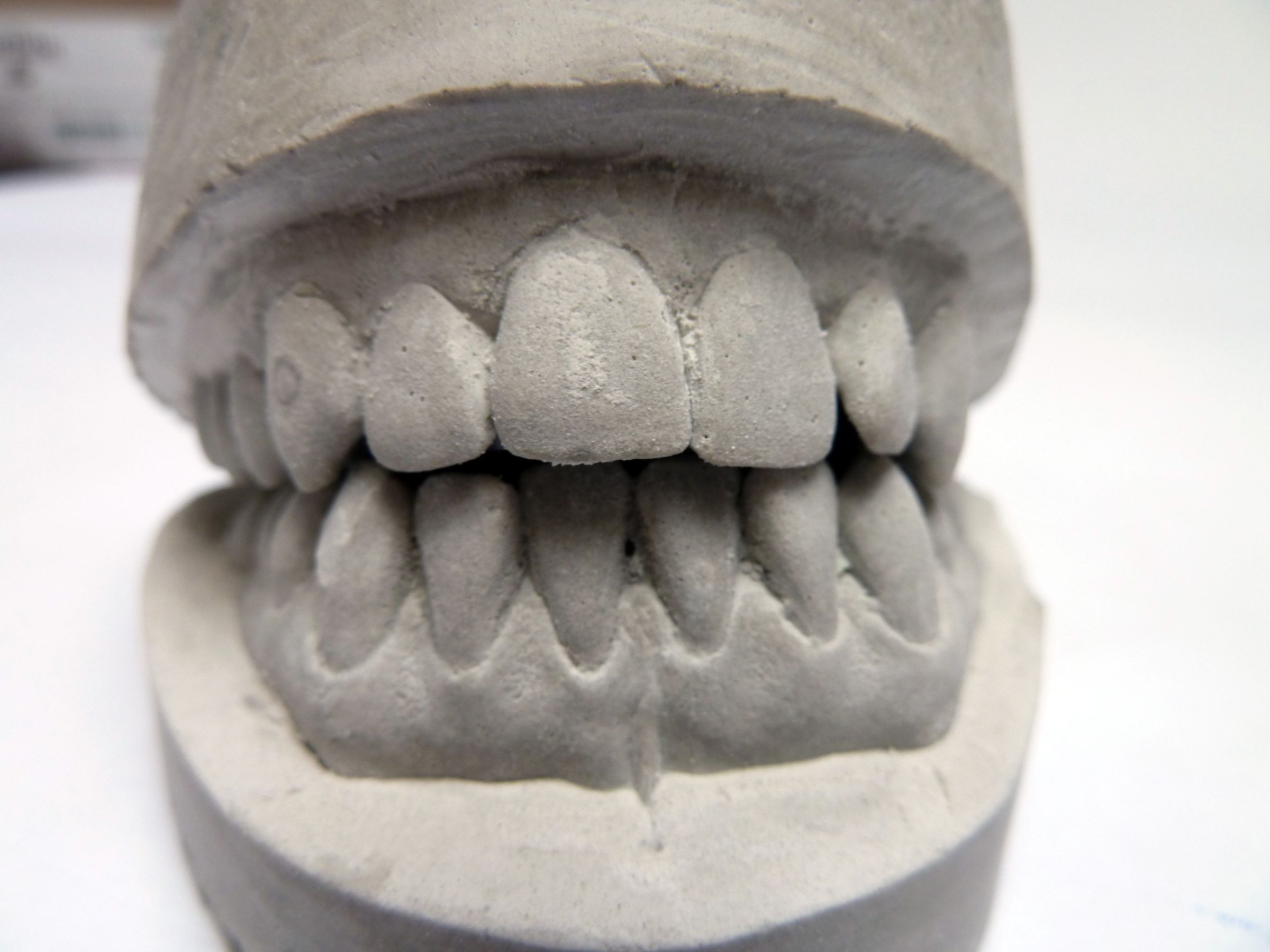 Cast Your Teeth for Halloween