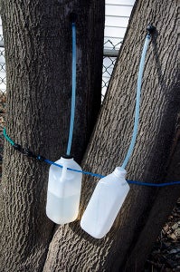 Set Up the Containers