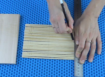 I Used the Chopsticks With Which You Eat Sushi