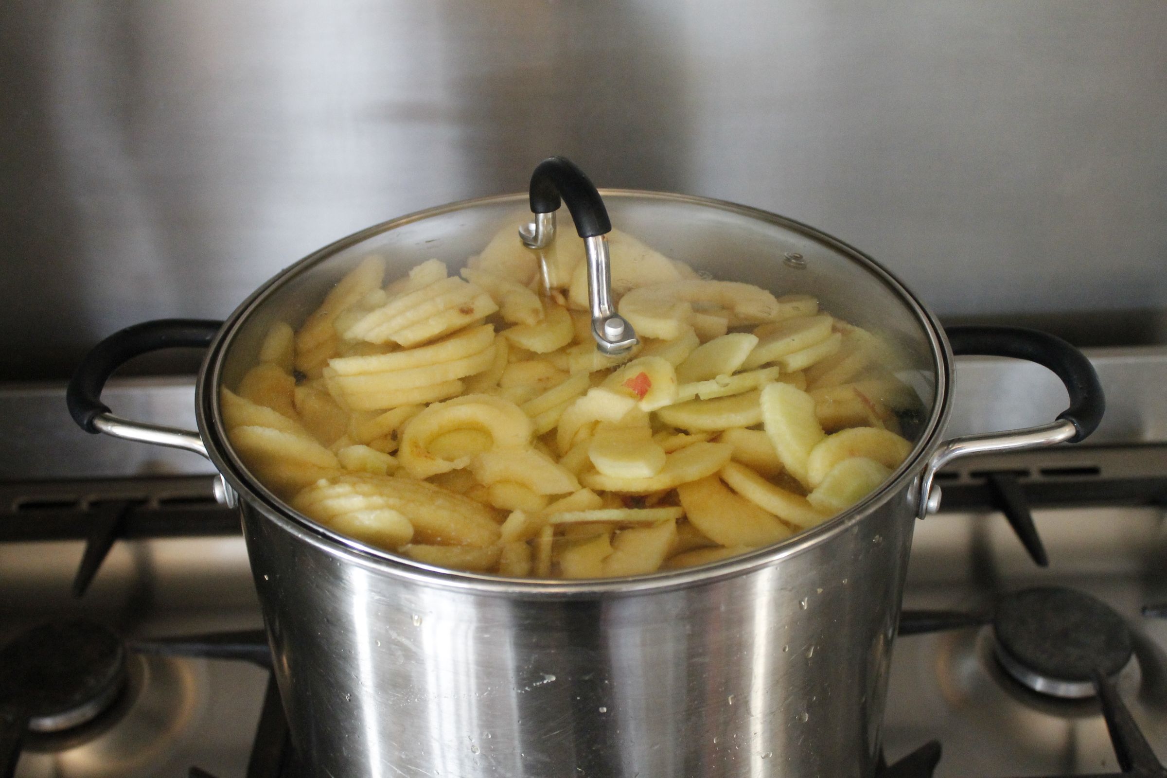how-to-stew-apples-6-steps-with-pictures-instructables