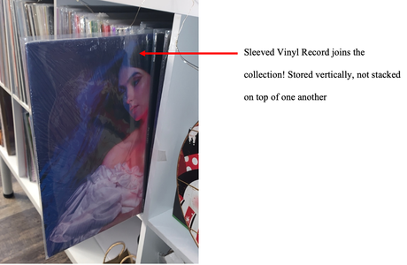 HOW TO STORE MULTIPLE VINYL RECORDS: Return Vinyl Record to Collection