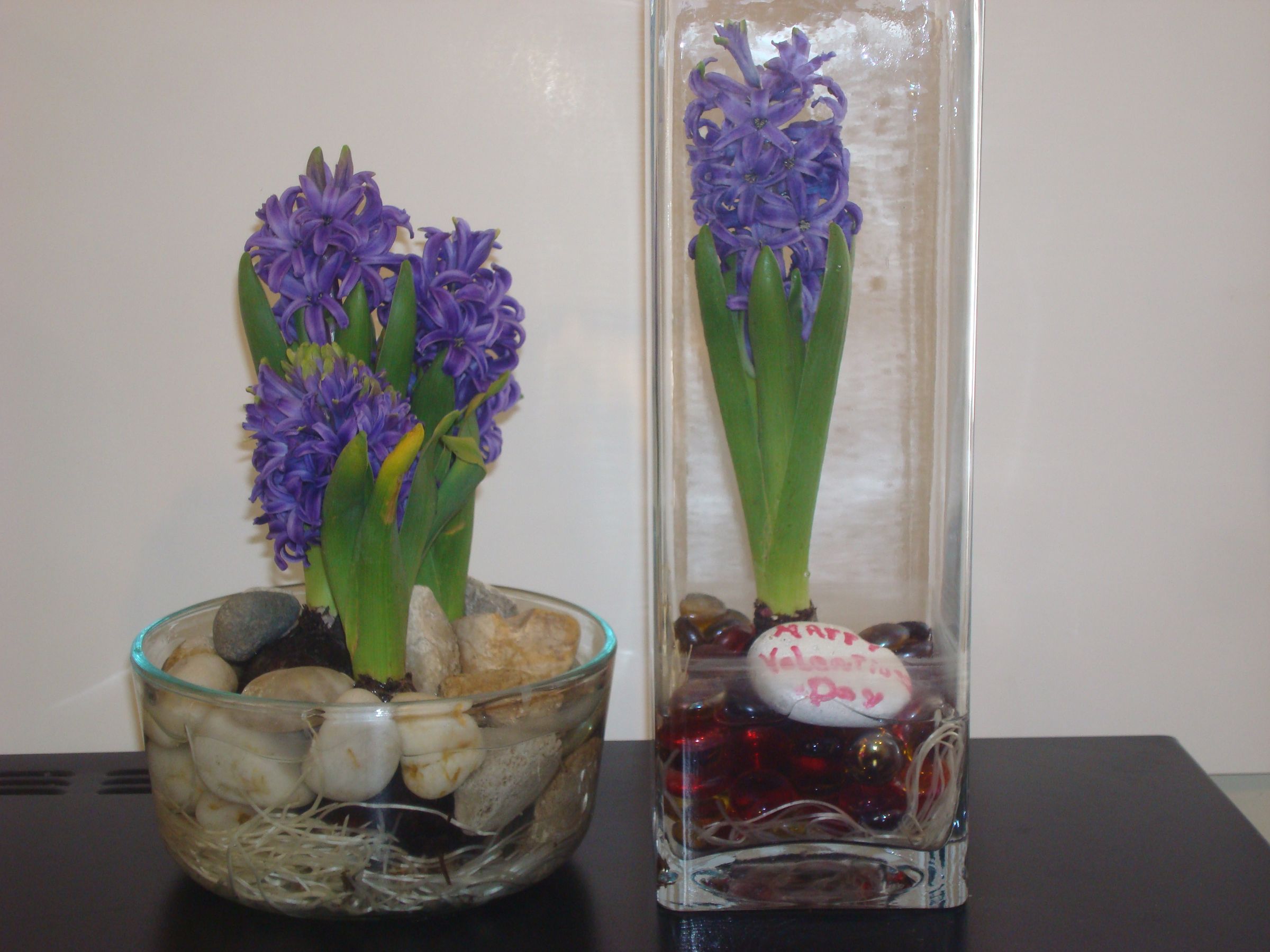 Kitchen Flower Garden