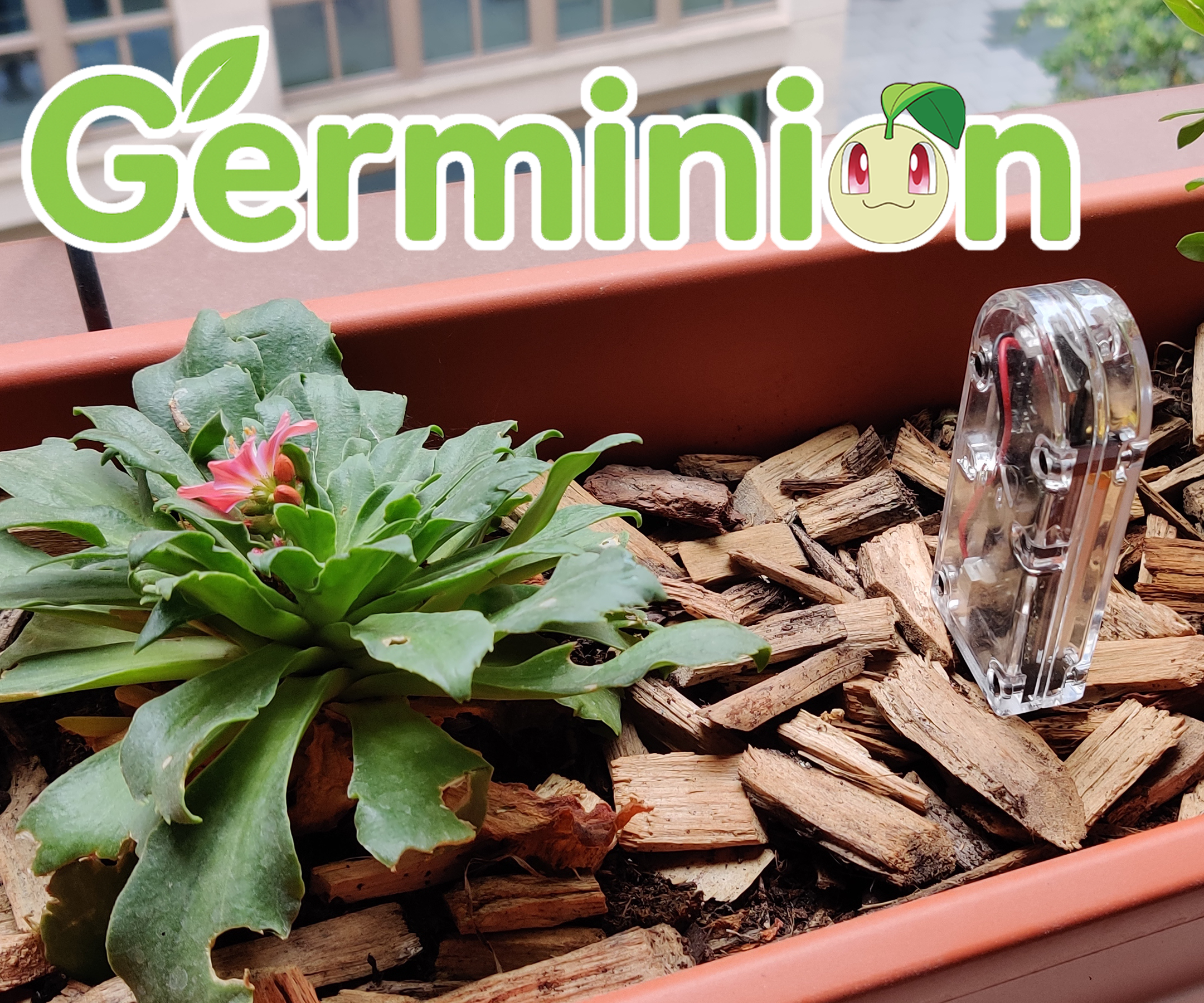 Germinion - DIY Plant Environment Tracker 🌱