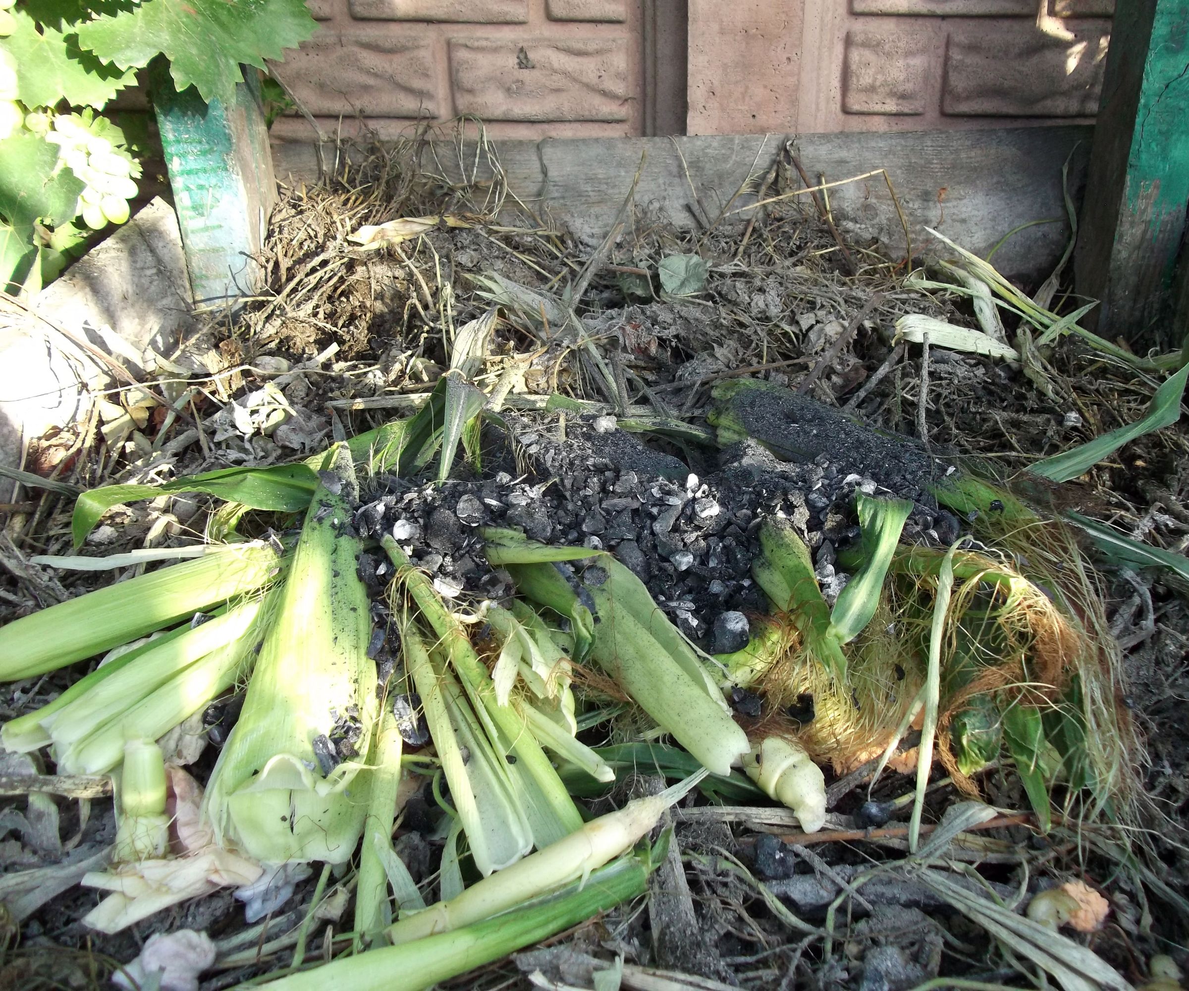 Processing Animal Bones for Composting (the Easy Way)