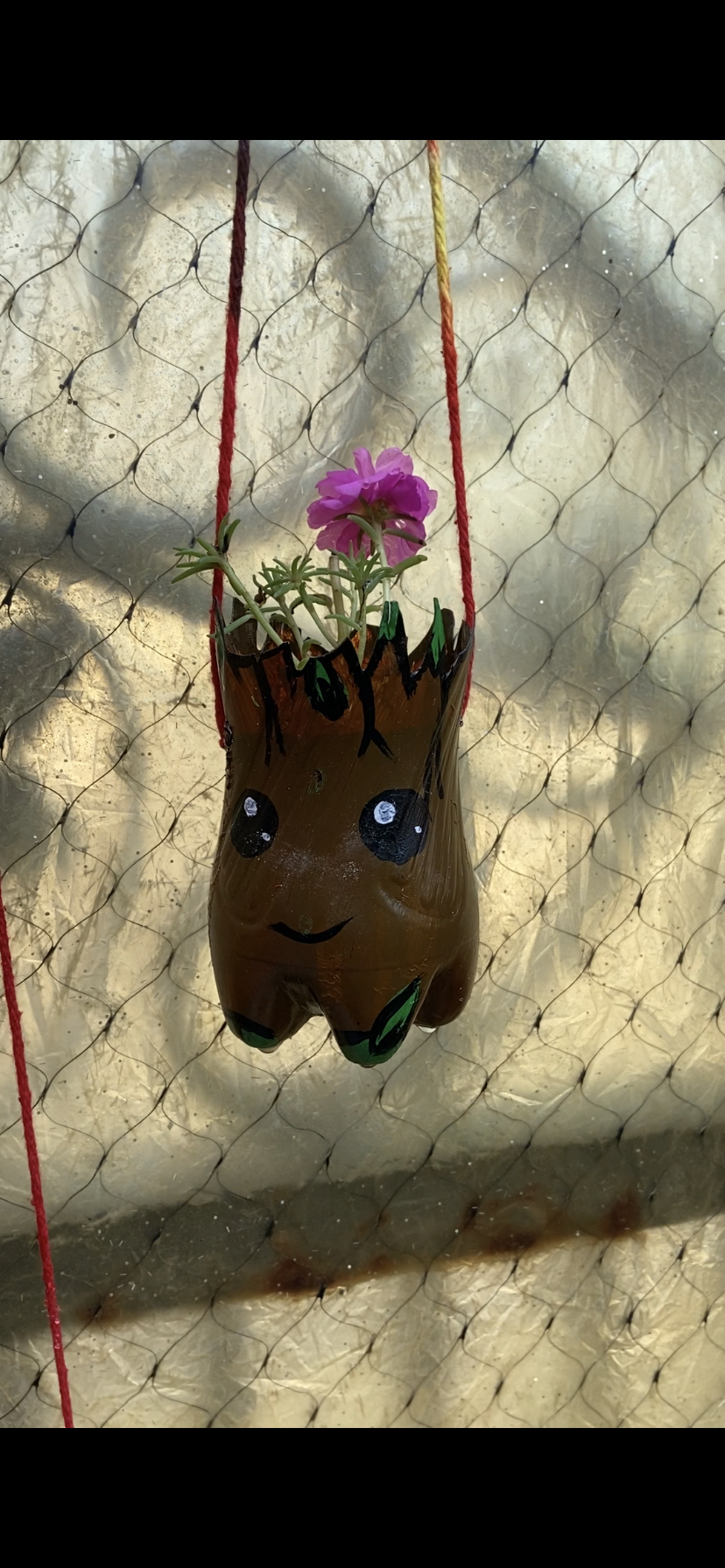 Planting the Plants