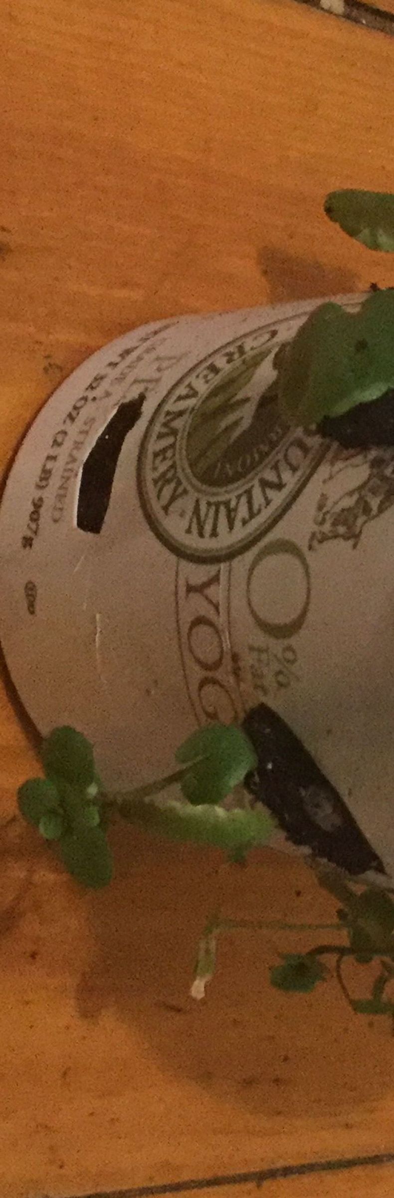 Easy and Cheap Watercress Tower