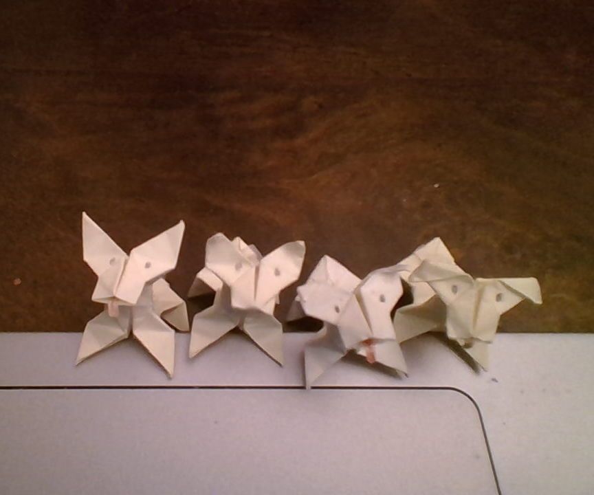 Origami Dog (3d) + All the Other Origami You Learn on the Way.