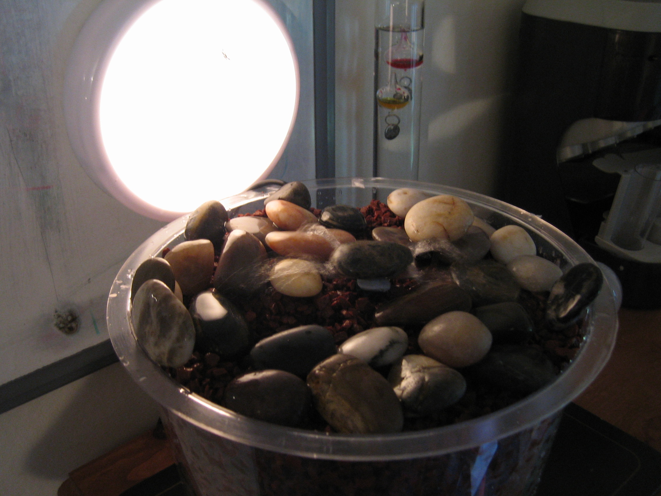 Indoor Water Fountain/feature