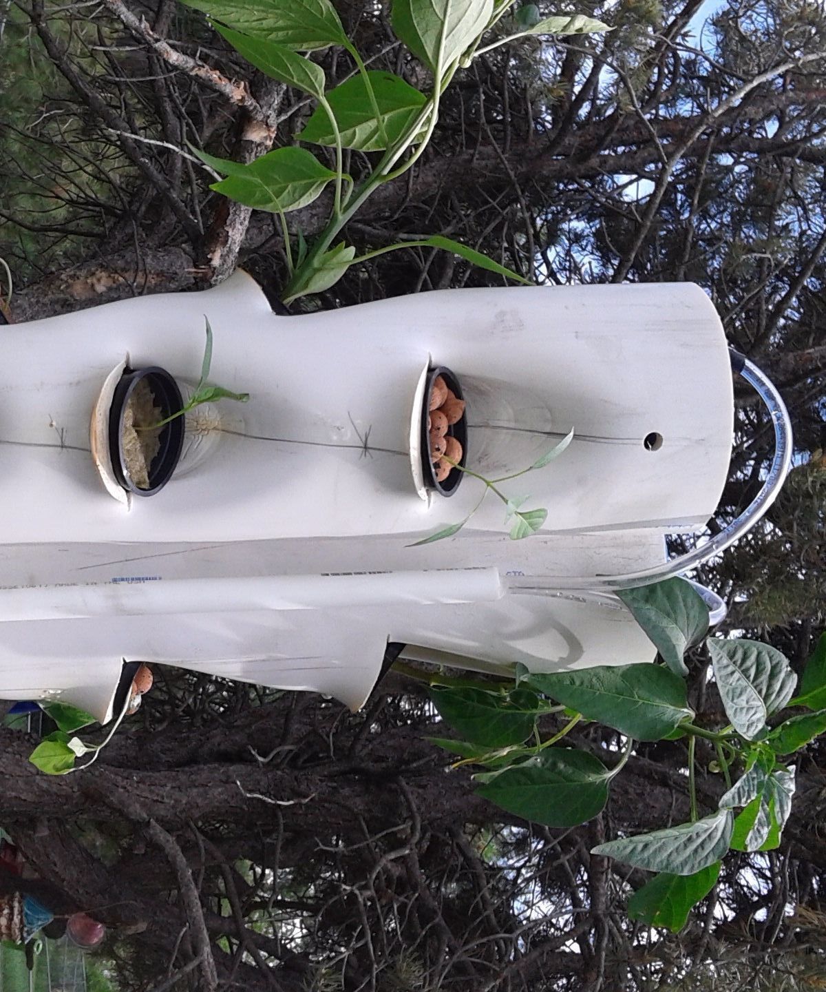 AutoPonic Vertical Garden IoT/Arduino