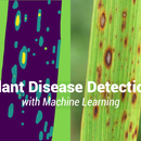 How to Detect Plant Diseases Using Machine Learning