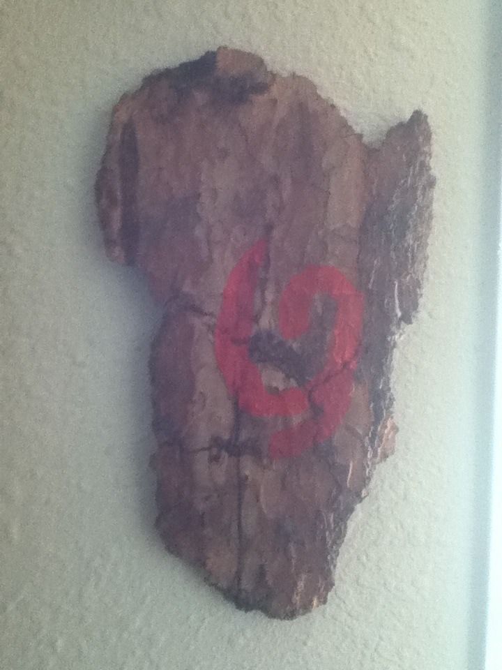 Link's Hat And Deku Shield