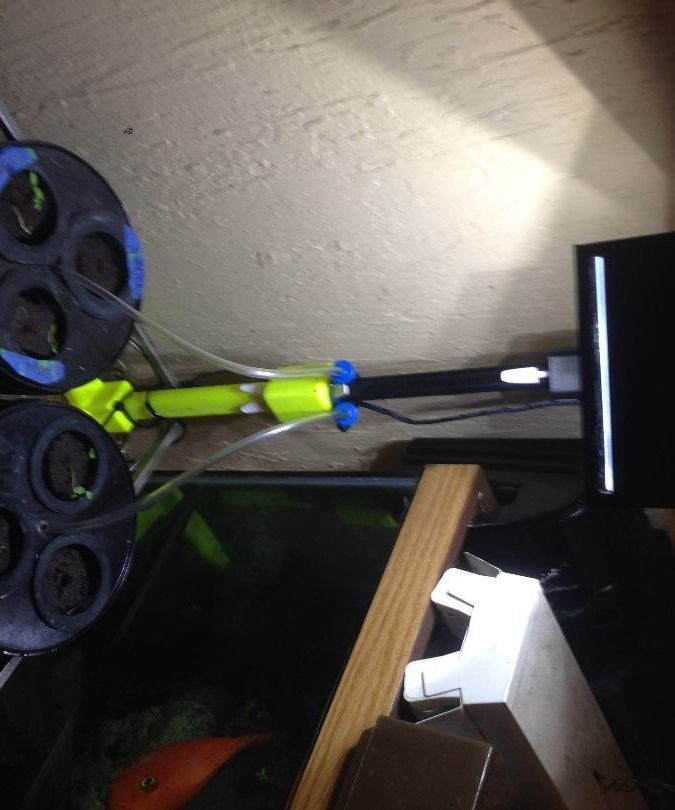 Mini Indoor Deep Water Culture Hydroponic Garden