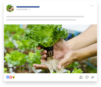 Sistema De Cultivo Hidropónico Doméstico a Partir De Material Reciclado