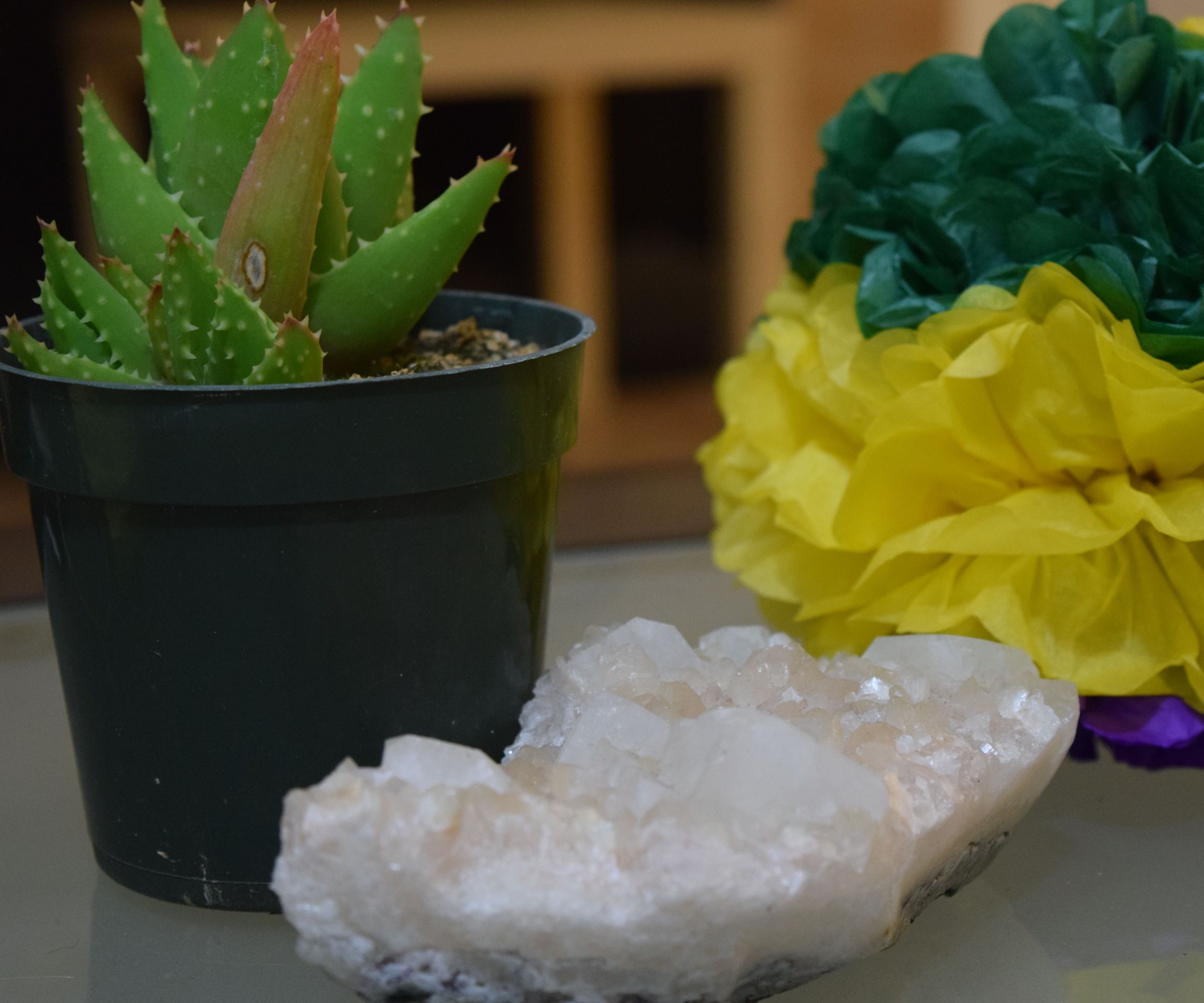 DIY Mardi Gras Paper Pom Pom