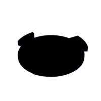 download {{ file.name }}