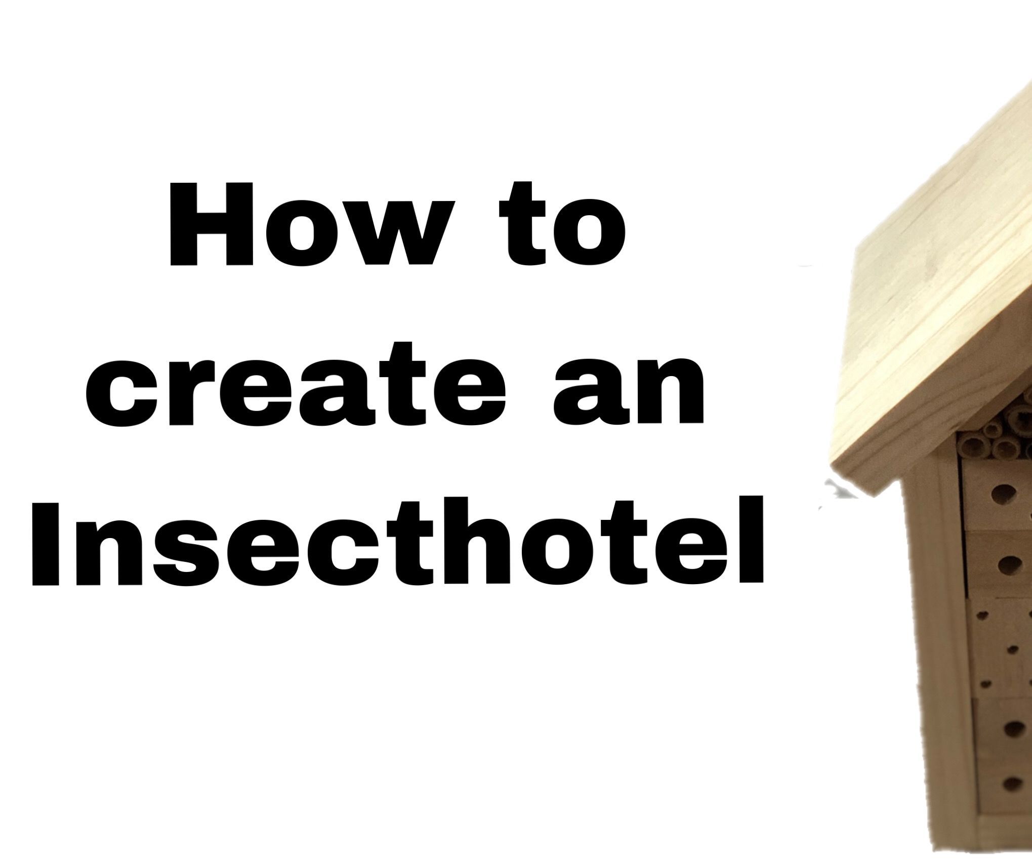 How to Create the Yakeba Insect Hotel